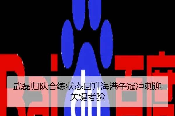 武磊归队合练状态回升海港争冠冲刺迎关键考验